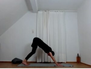 Felix Fast Yoga