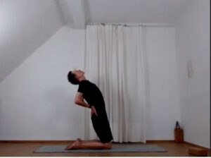 Kamel, Yoga